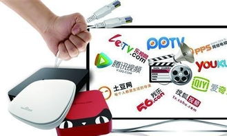 霸道“總菊”與互聯(lián)網(wǎng)電視 信息服務(wù)博弈記（上篇）